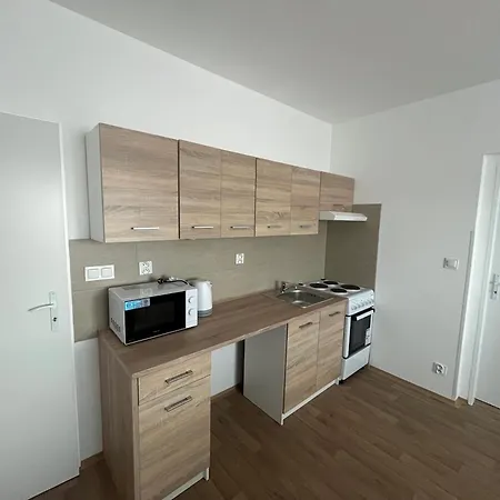 Apartment U Praisu *