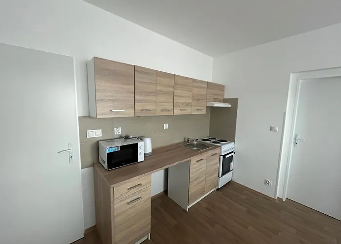 Apartment U Praisu *